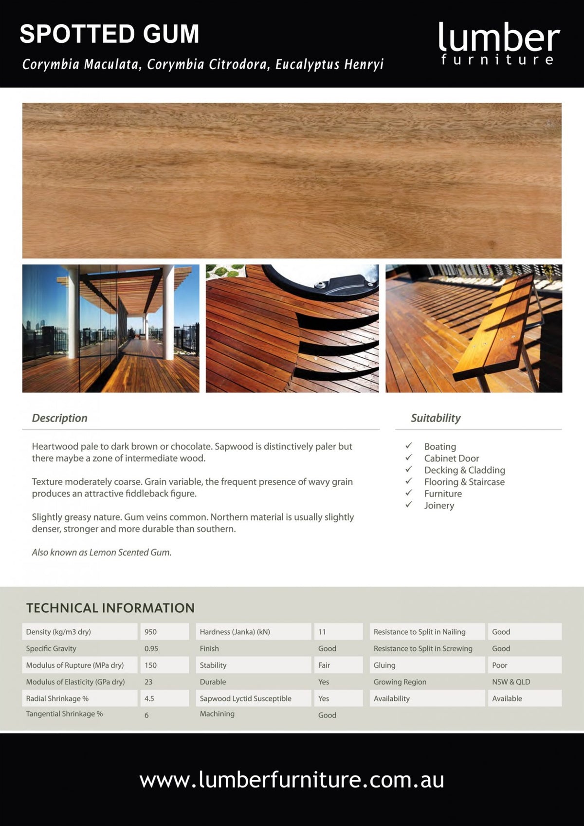 Timber Options