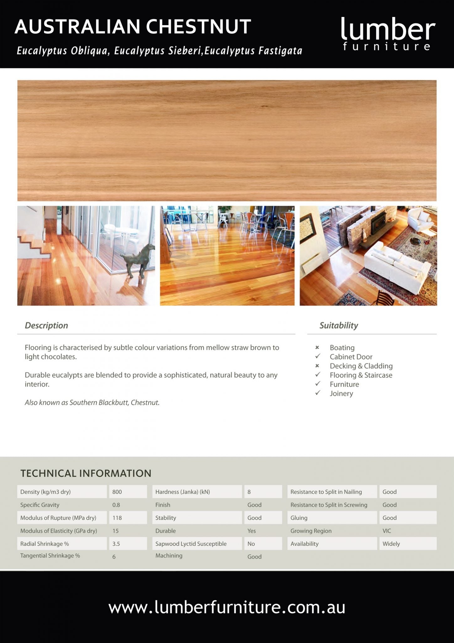 Timber Options