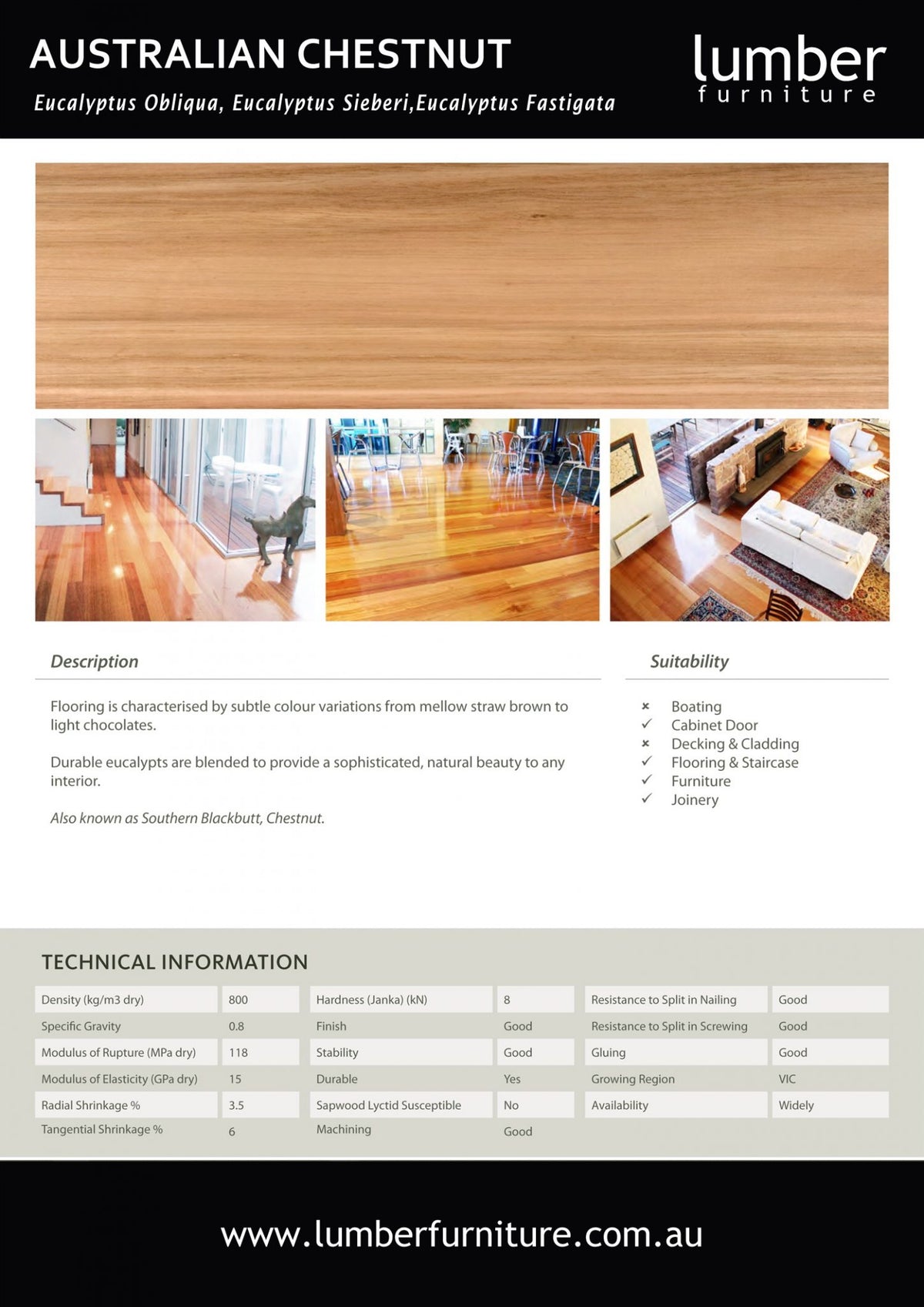 Timber Options